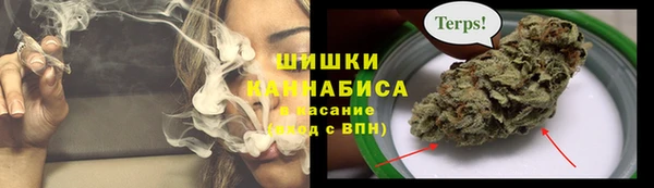 Альфа ПВП Белокуриха