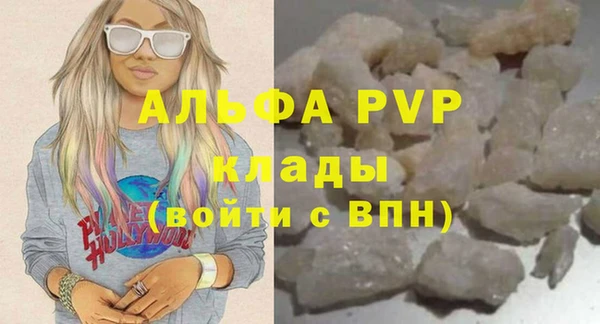 PSILOCYBIN Балабаново