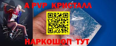 индика Ставрополь