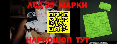 индика Ставрополь