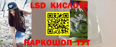 индика Ставрополь