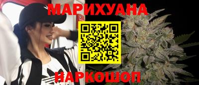 индика Ставрополь
