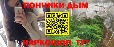 индика Ставрополь