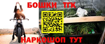 индика Ставрополь