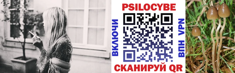 сколько стоит  Реутов  Галлюциногенные грибы GOLDEN TEACHER 