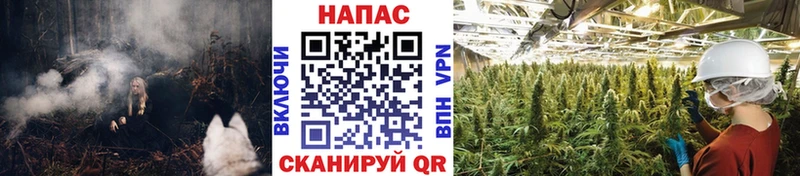 где найти наркотики  Реутов  Бошки марихуана планчик 